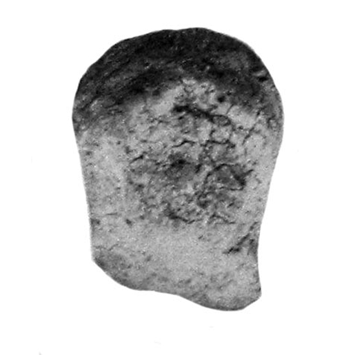 fig. 37:7