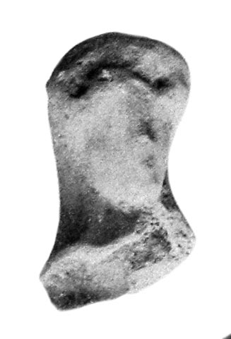 fig. 37:3