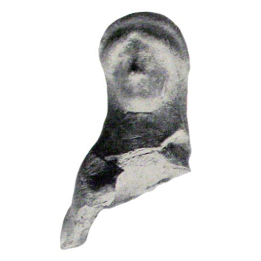 fig. 37:2
